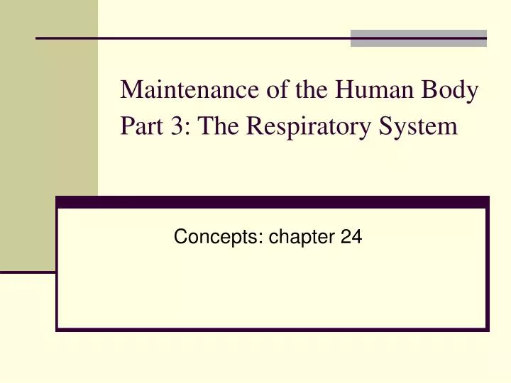 maintenance of the human body part 3 the respiratory system
