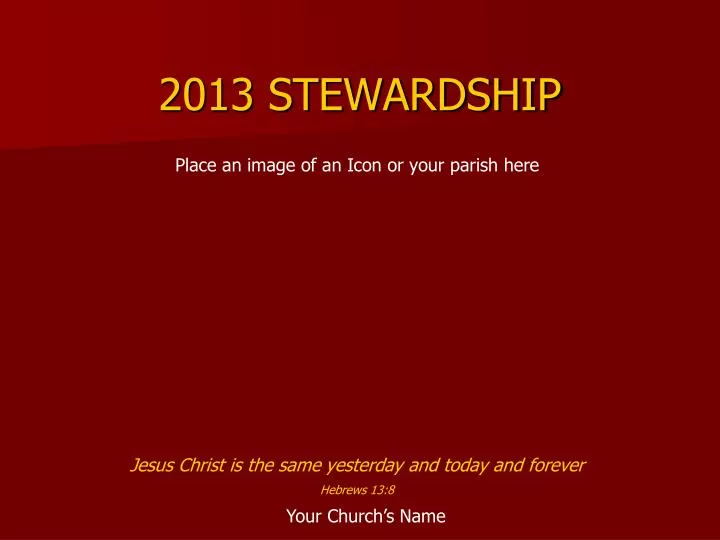 2013 stewardship