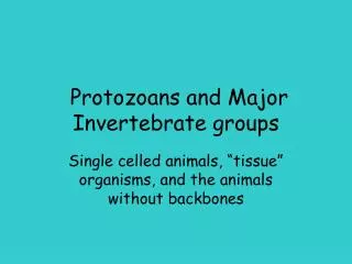 Protozoans and Major Invertebrate groups