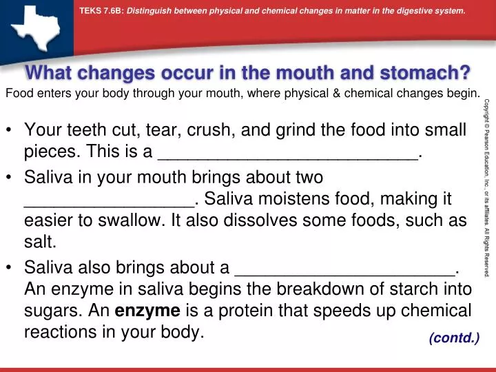 what changes occur in the mouth and stomach