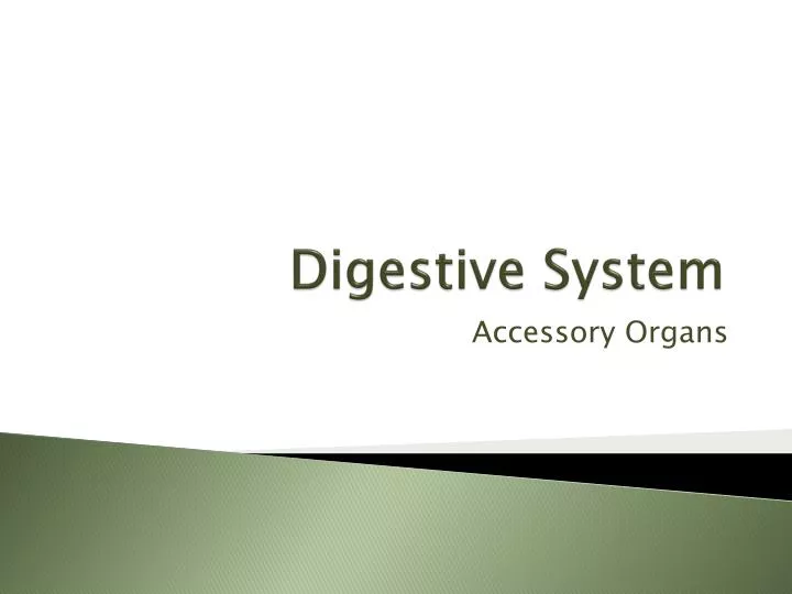 PPT - Digestive System PowerPoint Presentation, free download - ID:1459868