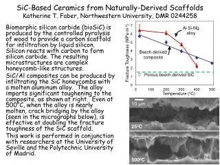 SiC-Based Ceramics from Naturally-Derived Scaffolds Katherine T. Faber, Northwestern University, DMR 0244258