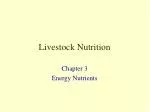 Livestock Nutrition - slide 1
