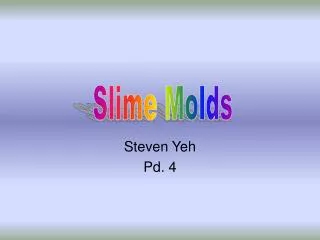 Steven Yeh Pd. 4