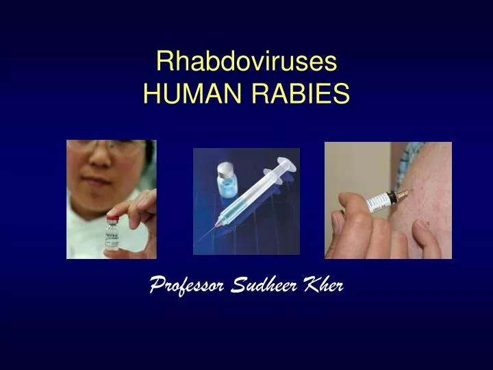 rhabdoviruses human rabies