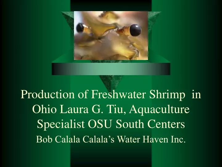 production of freshwater shrimp in ohio laura g tiu aquaculture specialist osu south centers