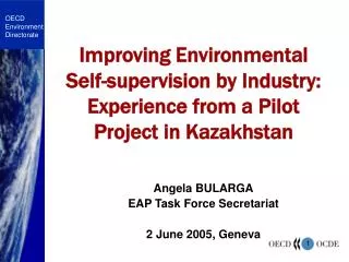 Improving Environmental Self-supervision by Industry: Experience from a Pilot Project in Kazakhstan