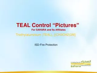 TEAL Control “Pictures” For SAHARA and Its Affiliates
