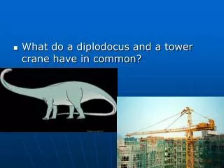 What do a diplodocus and a tower crane have in common?