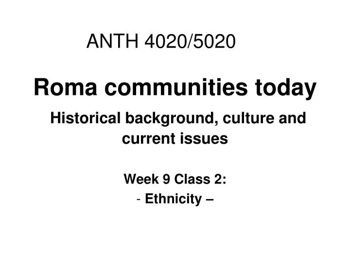 roma communities today historical background culture and current issues