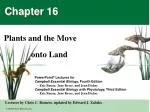 Terrestrial Adaptations of Plants: Evolution and Diversity - slide 1
