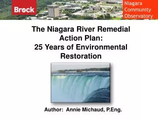 The Niagara River Remedial Action Plan: 25 Years of Environmental Restoration