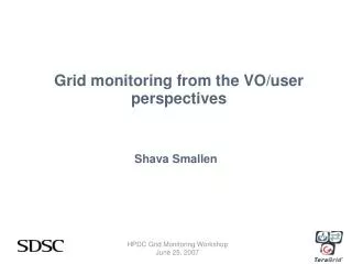 Grid monitoring from the VO/user perspectives