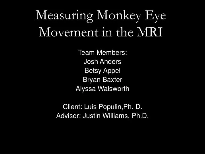 measuring monkey eye movement in the mri