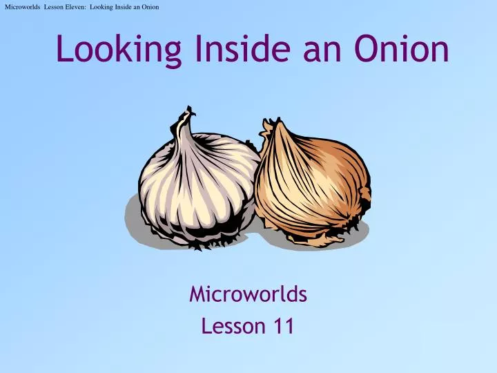 looking inside an onion