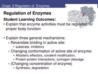 Chapt. 9 Regulation of Enzymes