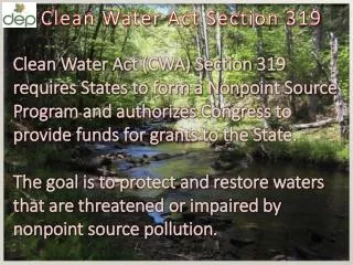 Clean Water A ct S ection 319