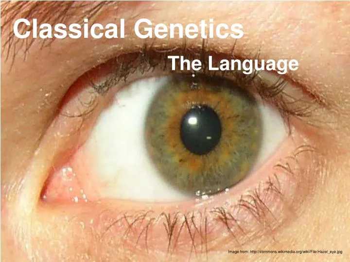 classical genetics