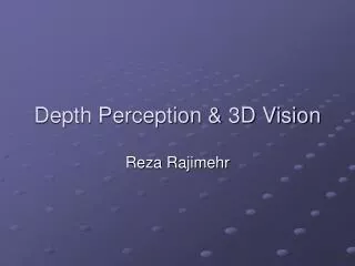 Depth Perception &amp; 3D Vision