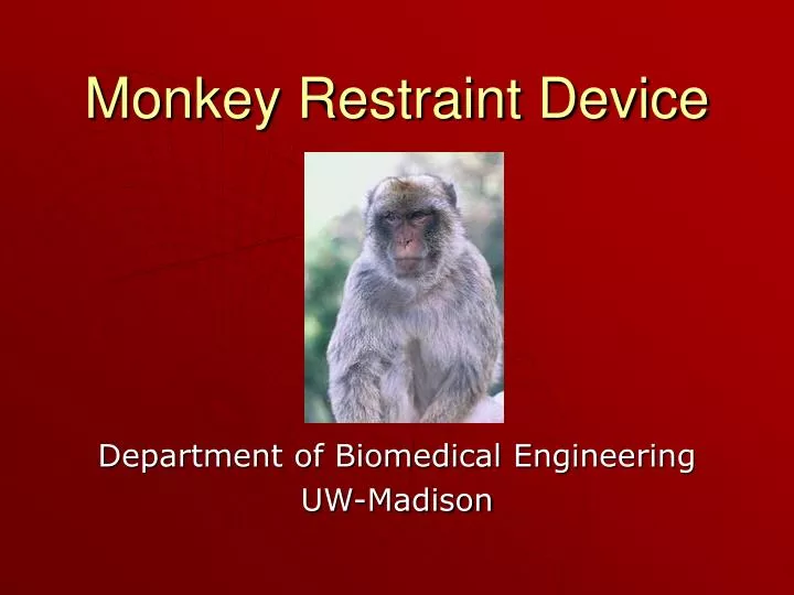 monkey restraint device