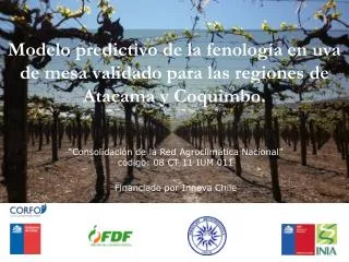 Modelo predictivo de la f enología en uva de mesa validado para las regiones de Atacama y Coquimbo.