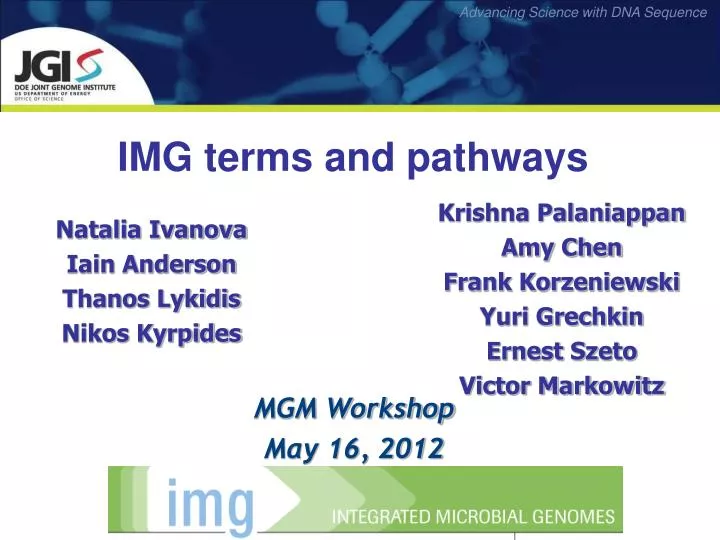img terms and pathways