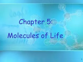 chapter 5