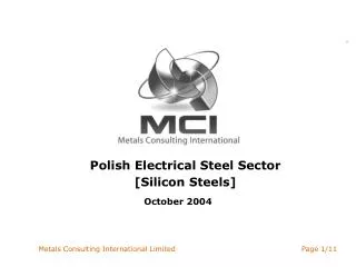 Polish Electrical Steel Sector [Silicon Steels]