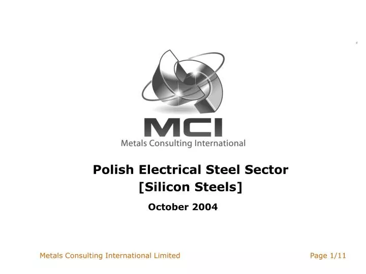 polish electrical steel sector silicon steels