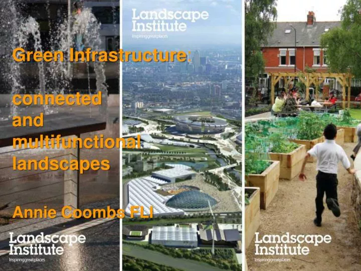 green infrastructure connected and multifunctional landscapes