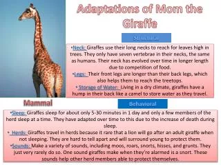 Adaptations of Mom the Giraffe