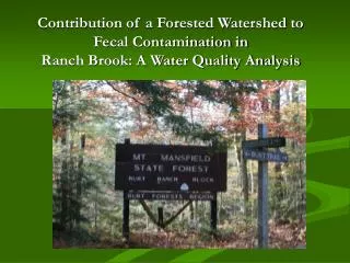 Contribution of a Forested Watershed to Fecal Contamination in Ranch Brook: A Water Quality Analysis