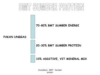 BMT SUMBER PROTEIN