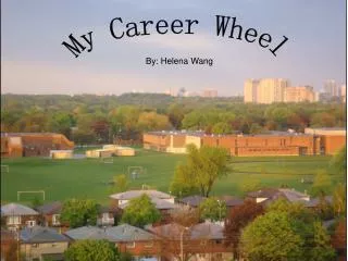 My Career Wheel