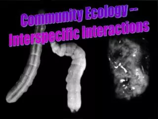 Community Ecology -- Interspecific Interactions