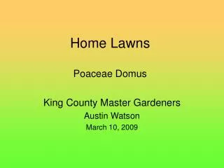 Home Lawns Poaceae Domus