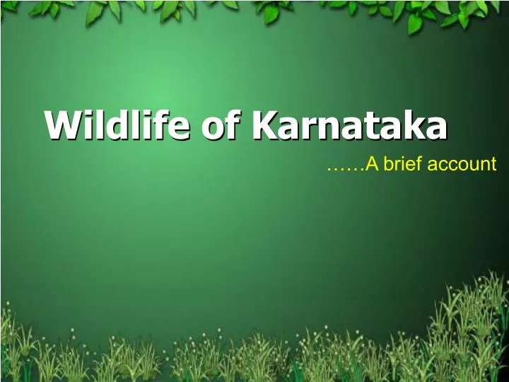 wildlife of karnataka
