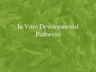 In Vitro Developmental Pathways