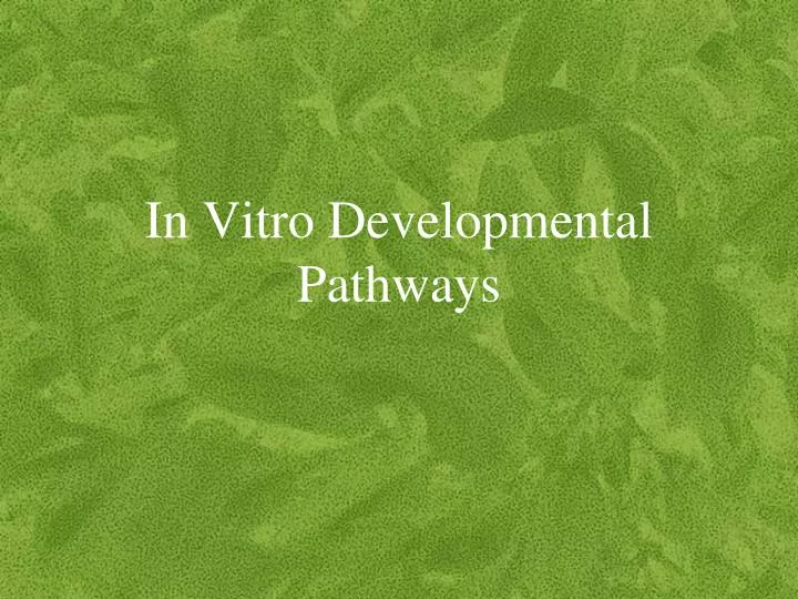 in vitro developmental pathways
