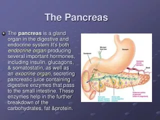 The Pancreas Dt 