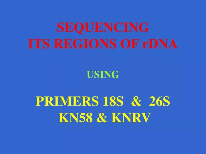 sequencing its regions of rdna using primers 18s 26s kn58 knrv