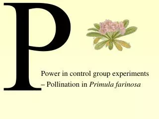 Power in control group experiments – Pollination in Primula farinosa