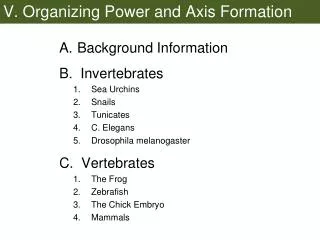 V. Organizing Power and Axis Formation