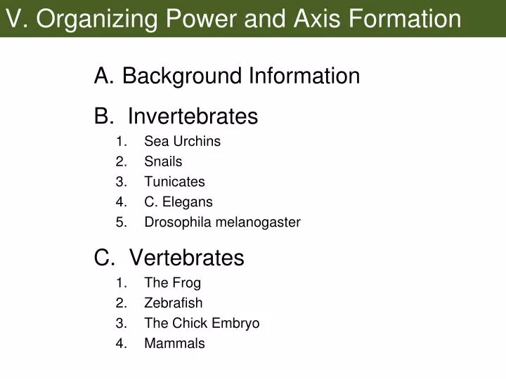 v organizing power and axis formation