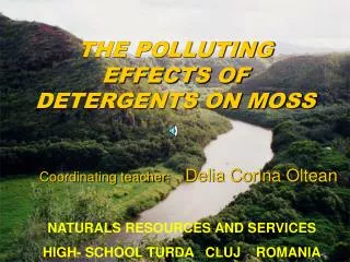 THE POLLUTING EFFECTS OF DETERGENTS ON MOSS