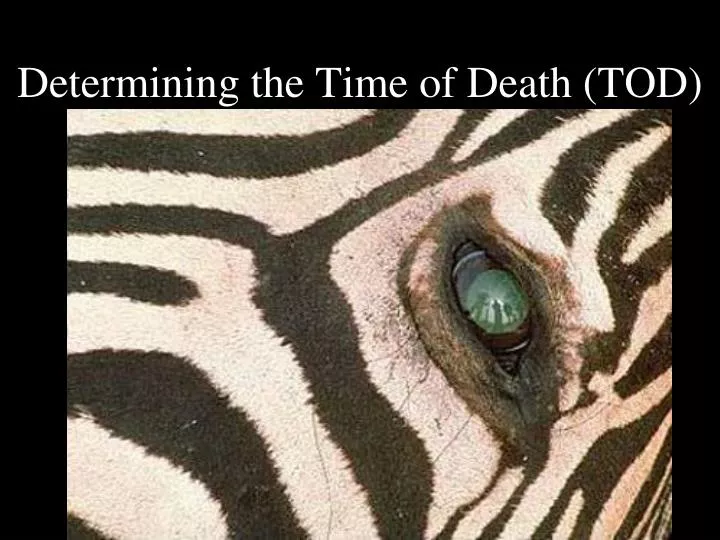 determining the time of death tod