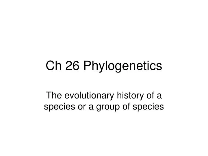 ch 26 phylogenetics