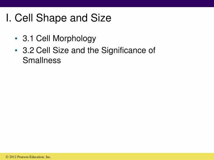 i cell shape and size