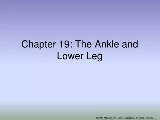 Chapter 19: The Ankle and Lower Leg