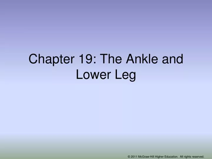 chapter 19 the ankle and lower leg
